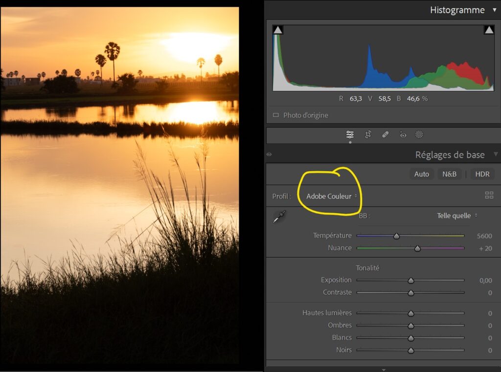 influence du profil de dématriçage sur l'aspect de la photo. Profil Adobe couleur