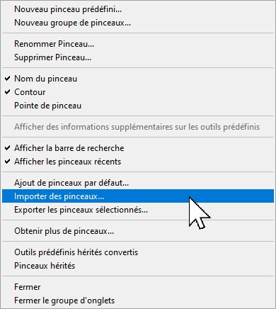 importer des pinceaux