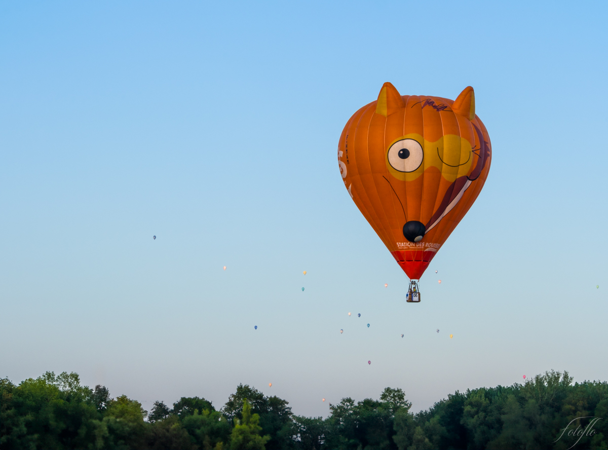 Montgolfières dans le ciel