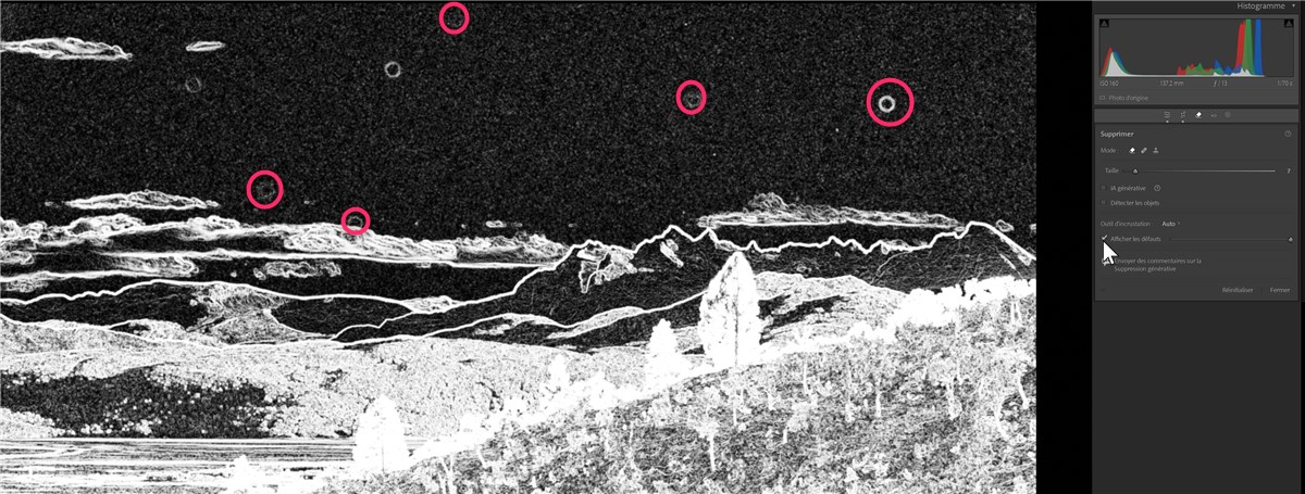 Visualisation des tâches capteur dans lightroom