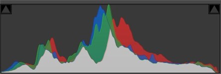 Histogramme Profil linéaire avant traitement