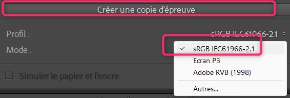 Créer une copie d'épreuve dans lightroom